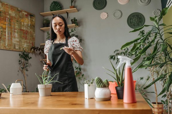 Où participer à des ateliers de cuisine bio en Californie : écoles et chefs recommandés ?