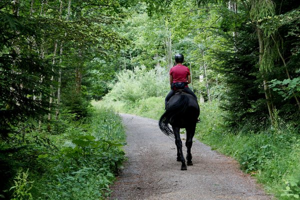 Quels sont les critères pour choisir une maison de vacances en Provence avec des cours de cuisine provençale et des balades à cheval?